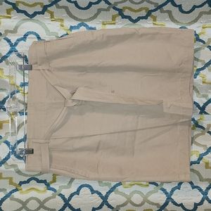 Ann Taylor Loft skirt